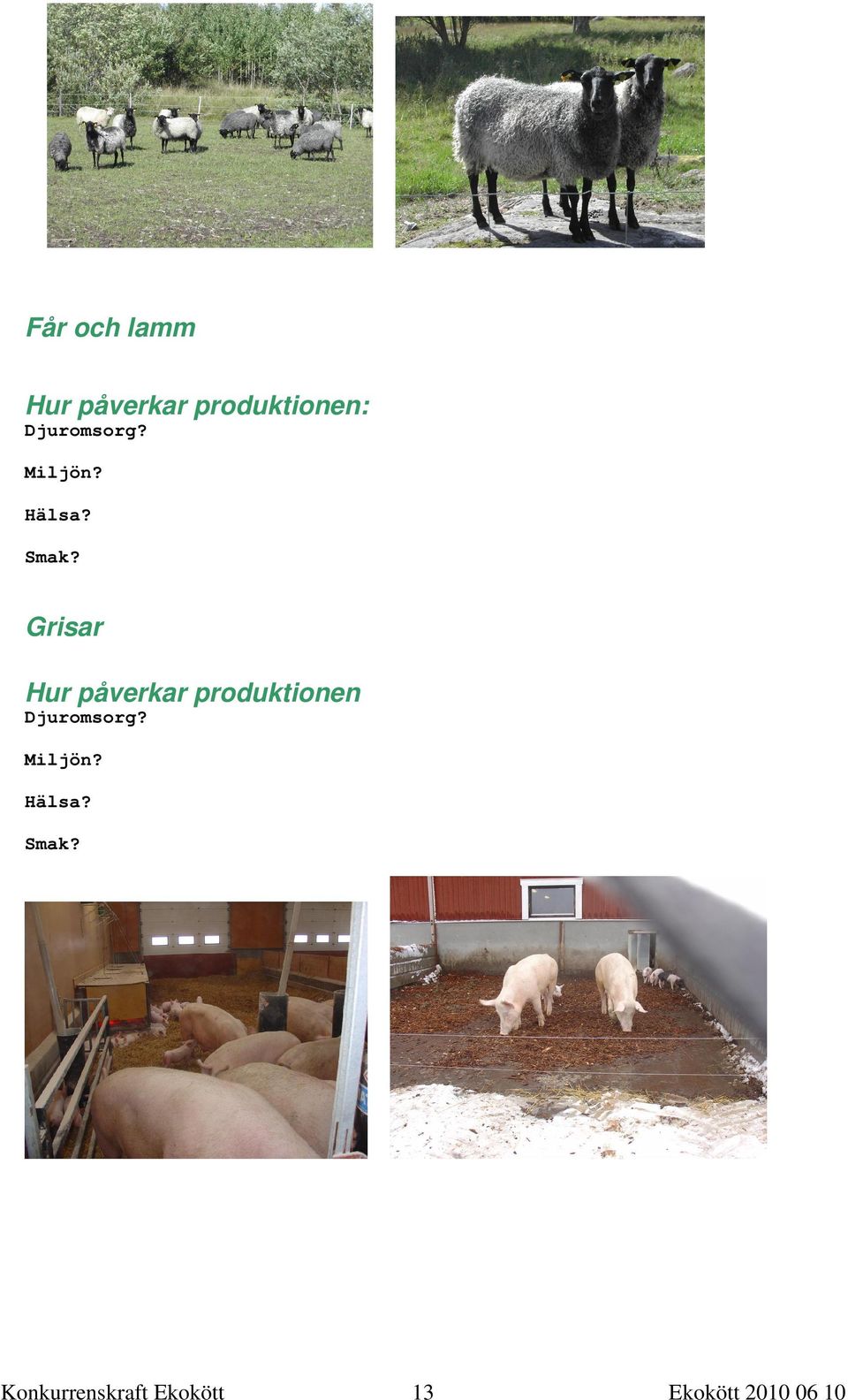 Grisar Hur påverkar produktionen 