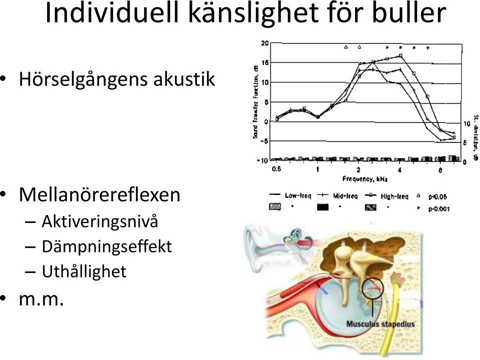 Mellanörereflexen