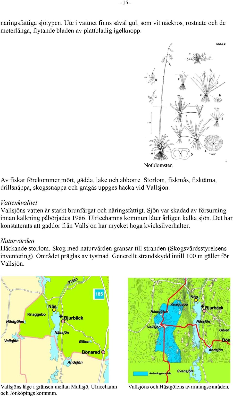 Vattenkvalitet Vallsjöns vatten är starkt brunfärgat och näringsfattigt. Sjön var skadad av försurning innan kalkning påbörjades 1986. Ulricehamns kommun låter årligen kalka sjön.