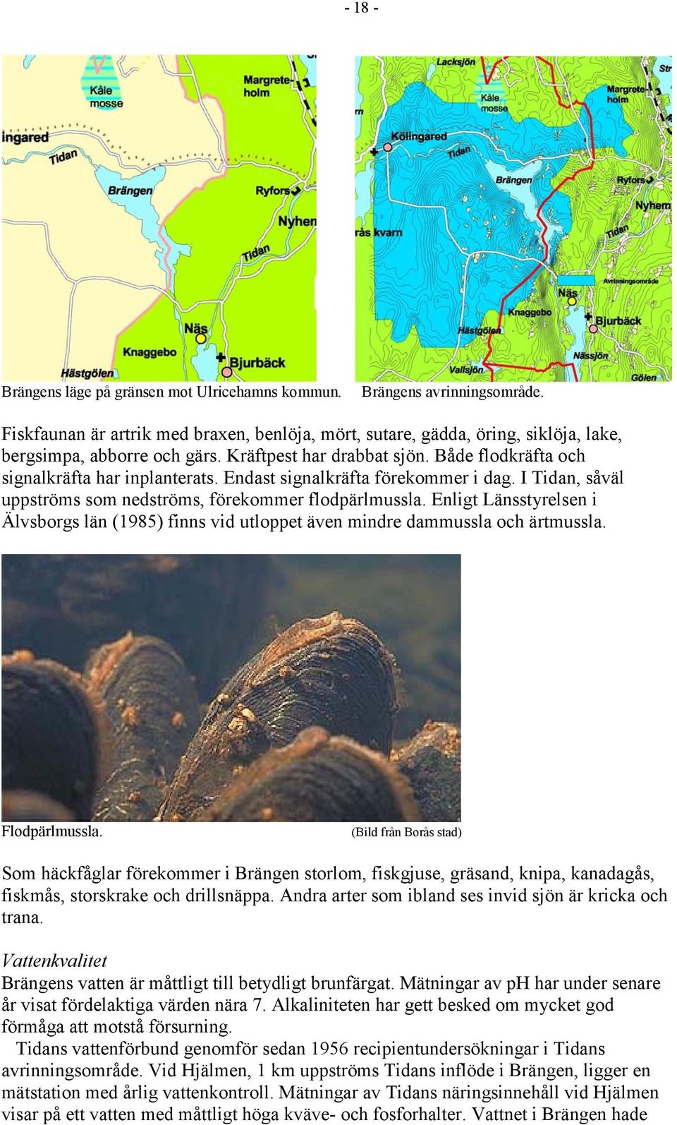 Enligt Länsstyrelsen i Älvsborgs län (1985) finns vid utloppet även mindre dammussla och ärtmussla. Flodpärlmussla.