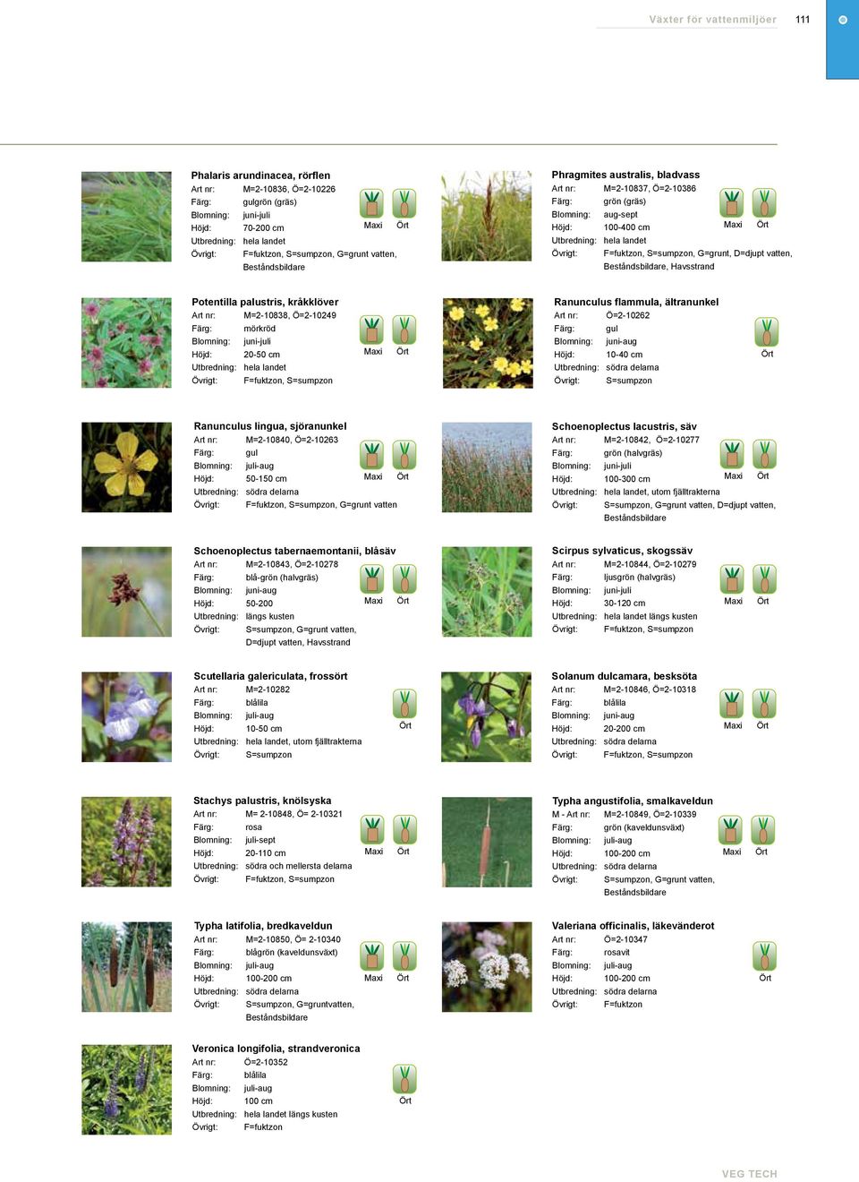 mörkröd 20-50 cm Utbredning: hela landet Ö=2-10262 gul Blomning: juni-aug 10-40 cm Utbredning: södra delarna S=sumpzon Ranunculus lingua, sjöranunkel Schoenoplectus lacustris, säv M=2-10840,