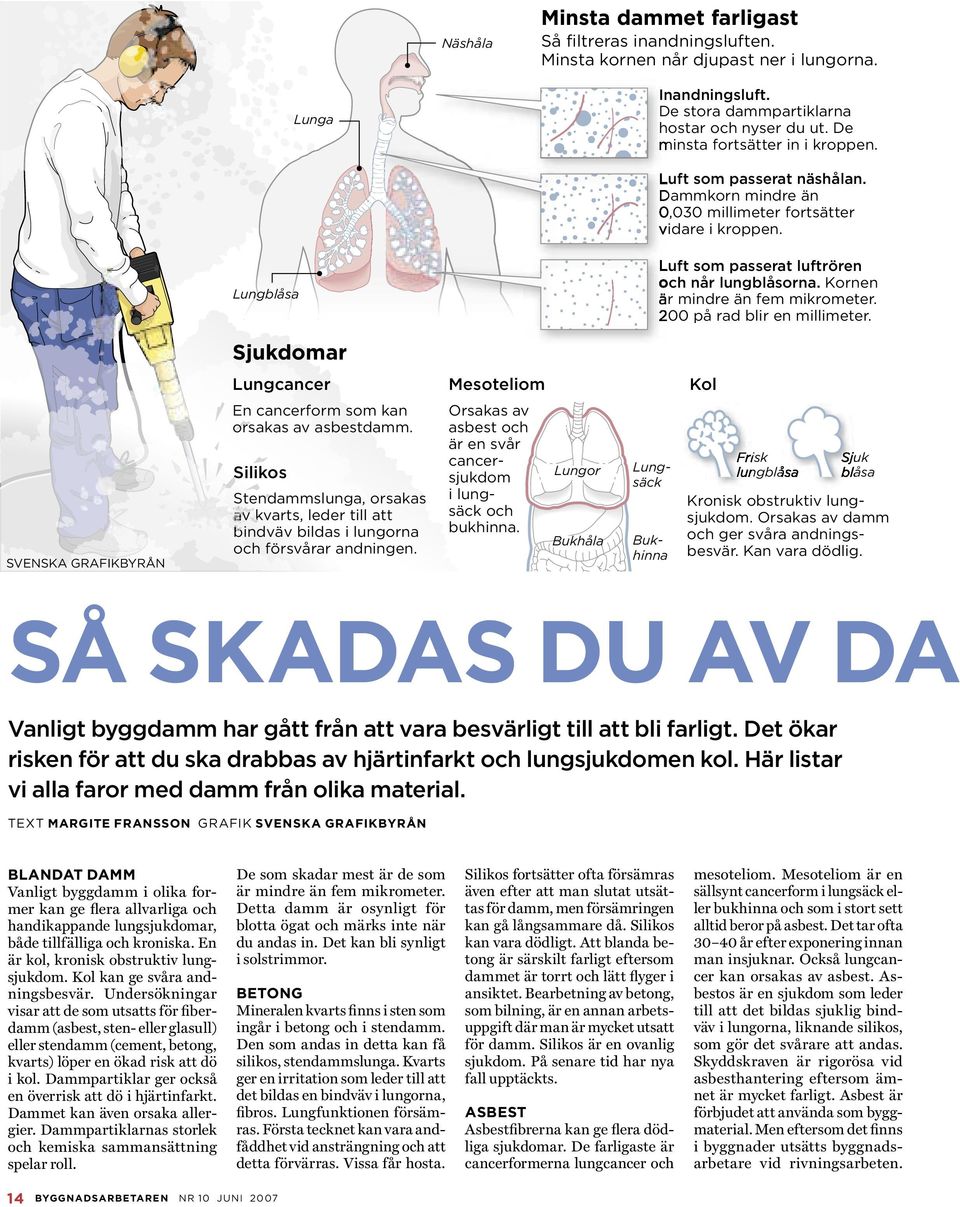 Kornen är mindre än fem mikrometer. 200 på rad blir en millimeter. Sjukdomar Lungcancer Mesoteliom Kol SVENSKA GRAFIKBYRÅN En cancerform som kan orsakas av asbestdamm.