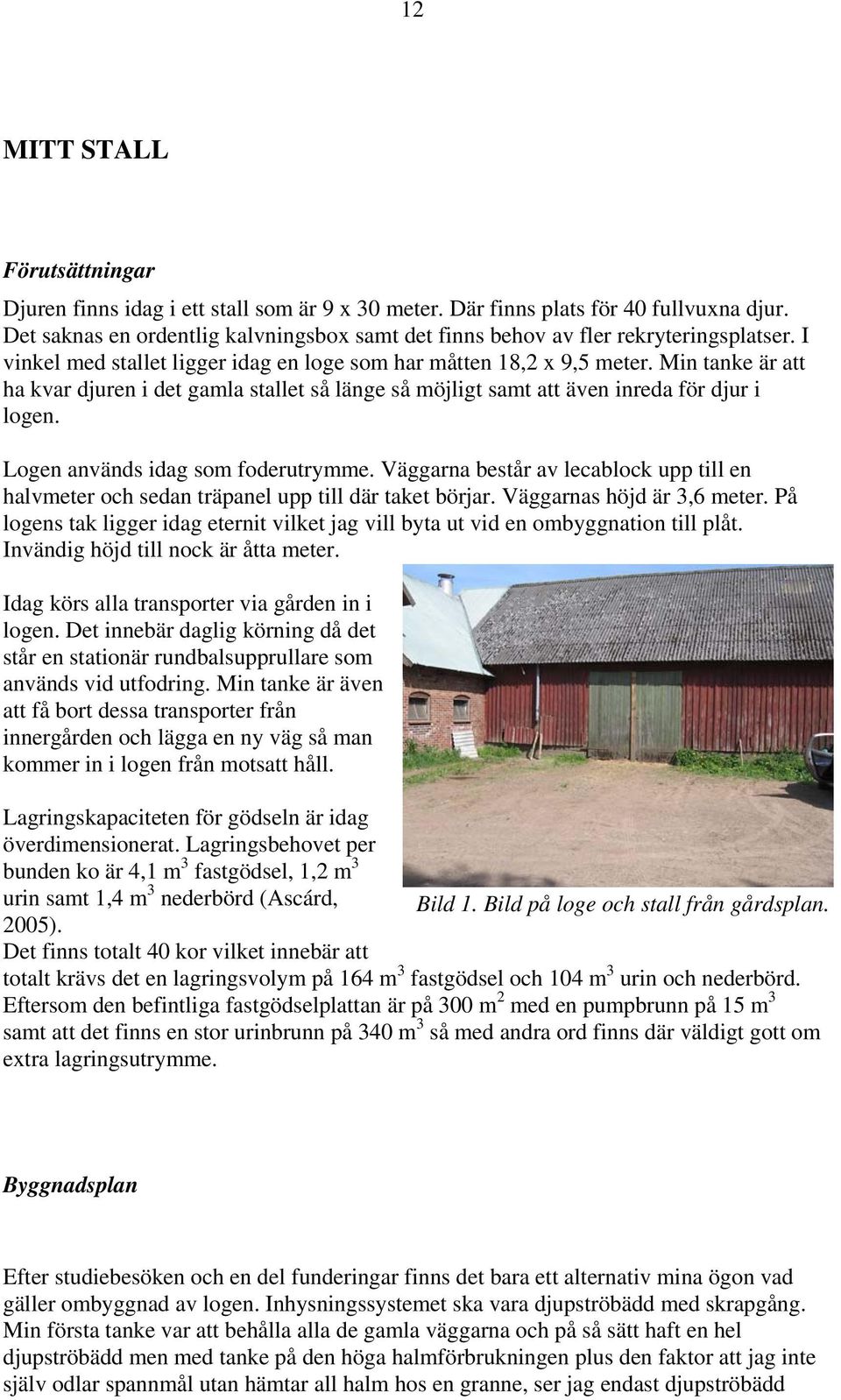 Min tanke är att ha kvar djuren i det gamla stallet så länge så möjligt samt att även inreda för djur i logen. Logen används idag som foderutrymme.