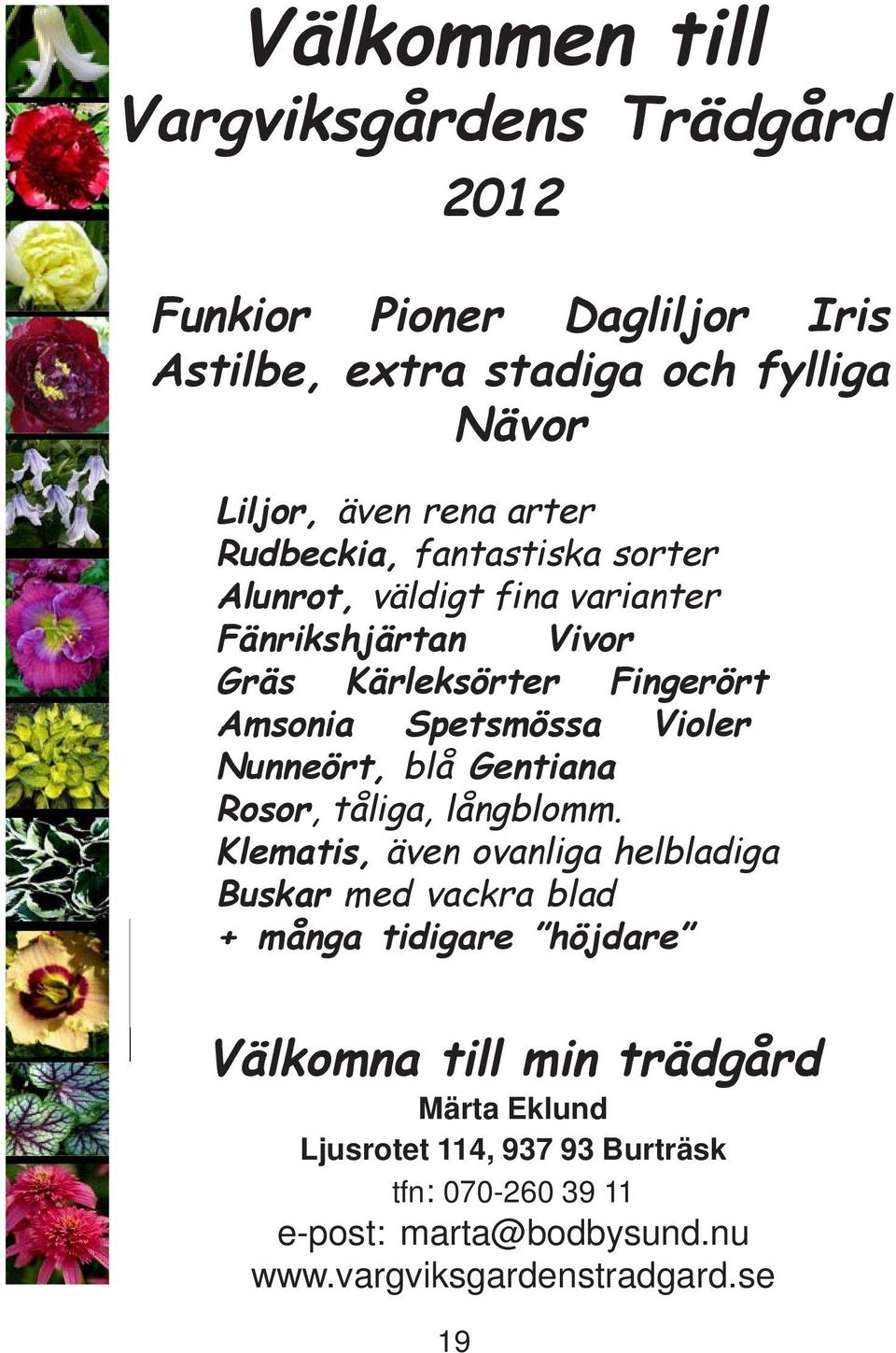 Nunneört, blå Gentiana Rosor, tåliga, långblomm.