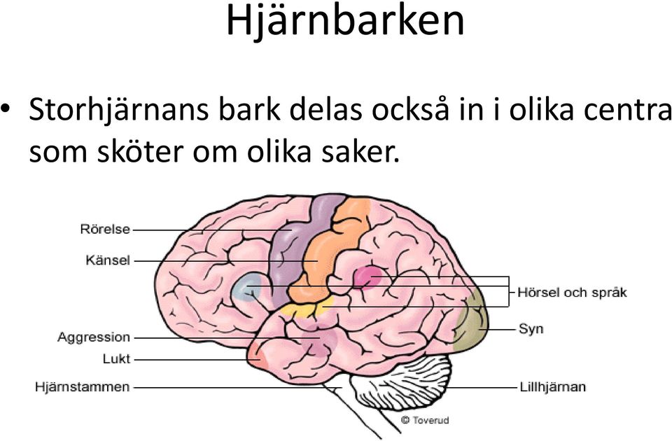 delas också in i