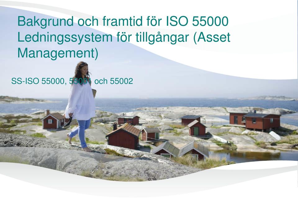 tillgångar (Asset