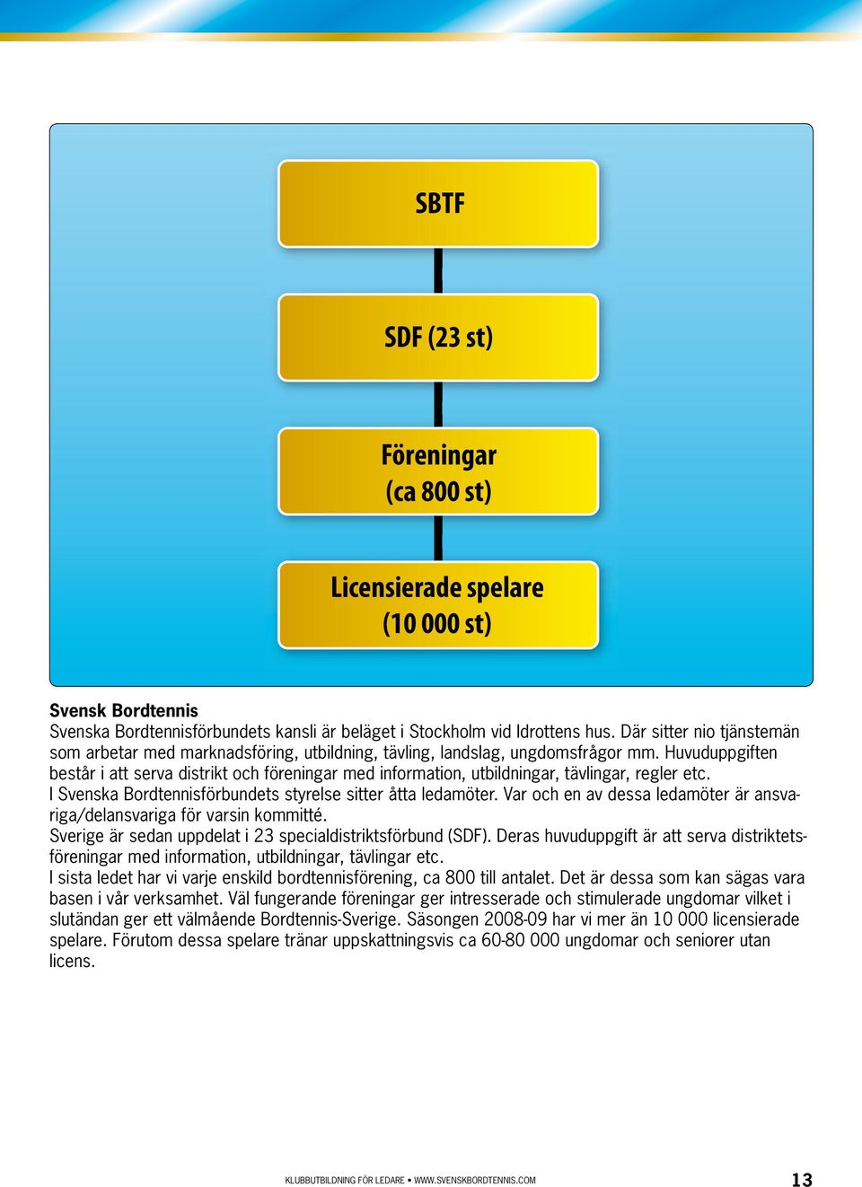 Huvuduppgiften består i att serva distrikt och föreningar med information, utbildningar, tävlingar, regler etc. I Svenska Bordtennisförbundets styrelse sitter åtta ledamöter.