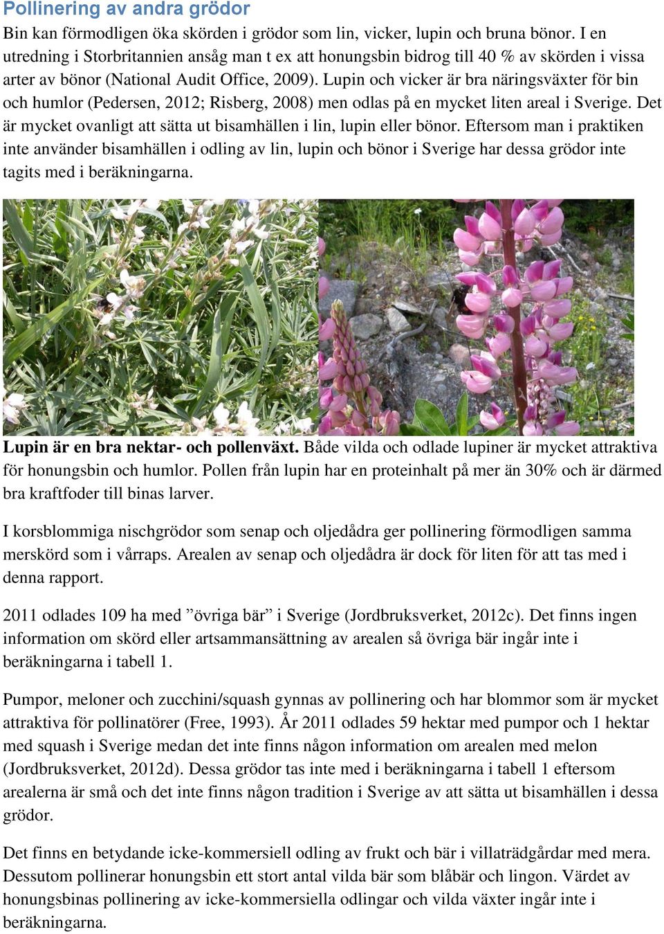 Lupin och vicker är bra näringsväxter för bin och humlor (Pedersen, 2012; Risberg, 2008) men odlas på en mycket liten areal i Sverige.