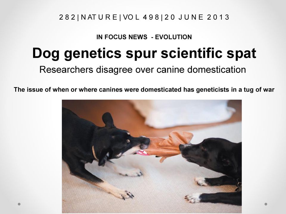 Researchers disagree over canine domestication The issue of