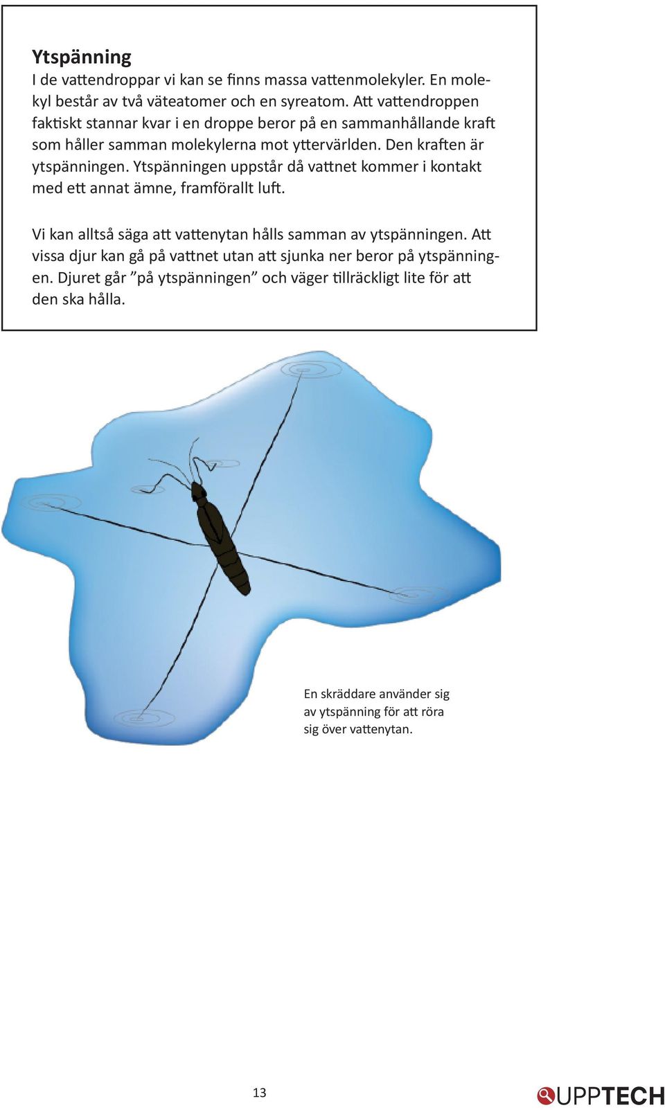 Ytspänningen uppstår då vattnet kommer i kontakt med ett annat ämne, framförallt luft. Vi kan alltså säga att vattenytan hålls samman av ytspänningen.