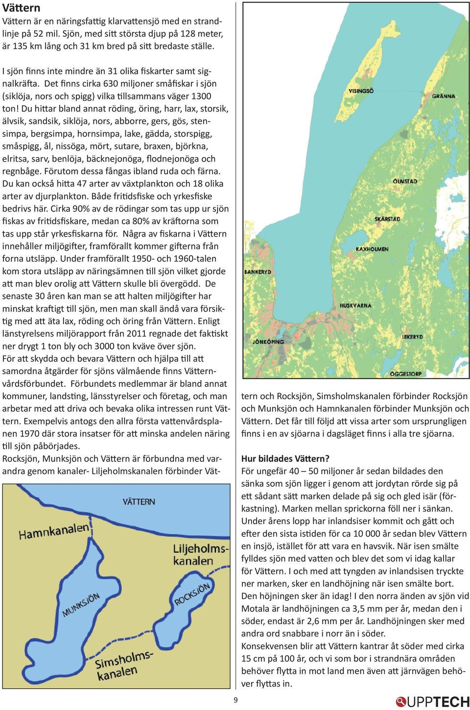 Du hittar bland annat röding, öring, harr, lax, storsik, älvsik, sandsik, siklöja, nors, abborre, gers, gös, stensimpa, bergsimpa, hornsimpa, lake, gädda, storspigg, småspigg, ål, nissöga, mört,