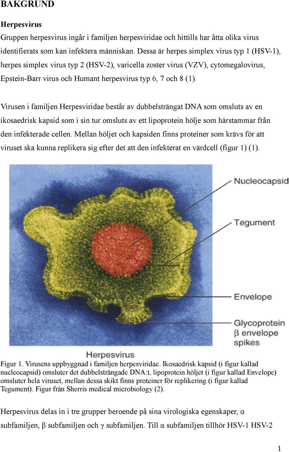 Virusen i familjen Herpesviridae består av dubbelsträngat DNA som omsluts av en ikosaedrisk kapsid som i sin tur omsluts av ett lipoprotein hölje som härstammar från den infekterade cellen.