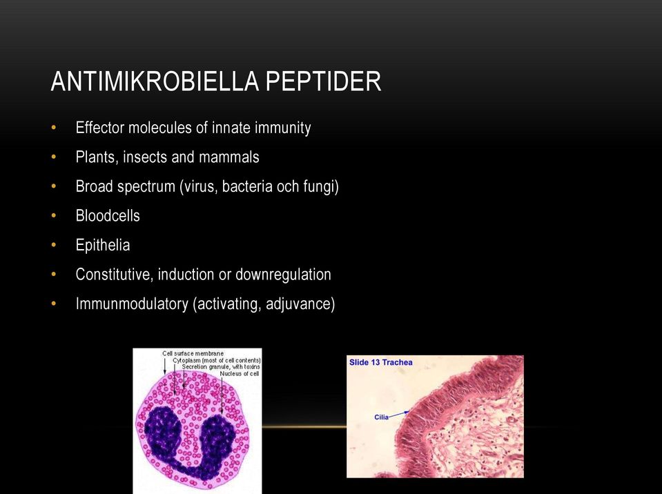 (virus, bacteria och fungi) Bloodcells Epithelia