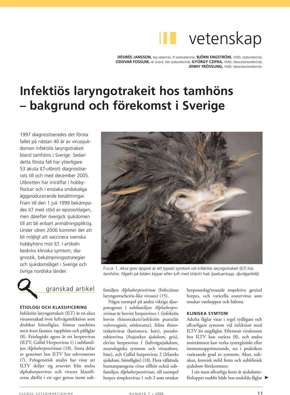 Infektiös laryngotrakeit hos tamhöns bakgrund och förekomst i Sverige 1997 diagnostiserades det första fallet på nästan 40 år av virussjukdomen infektiös laryngotrakeit bland tamhöns i Sverige.