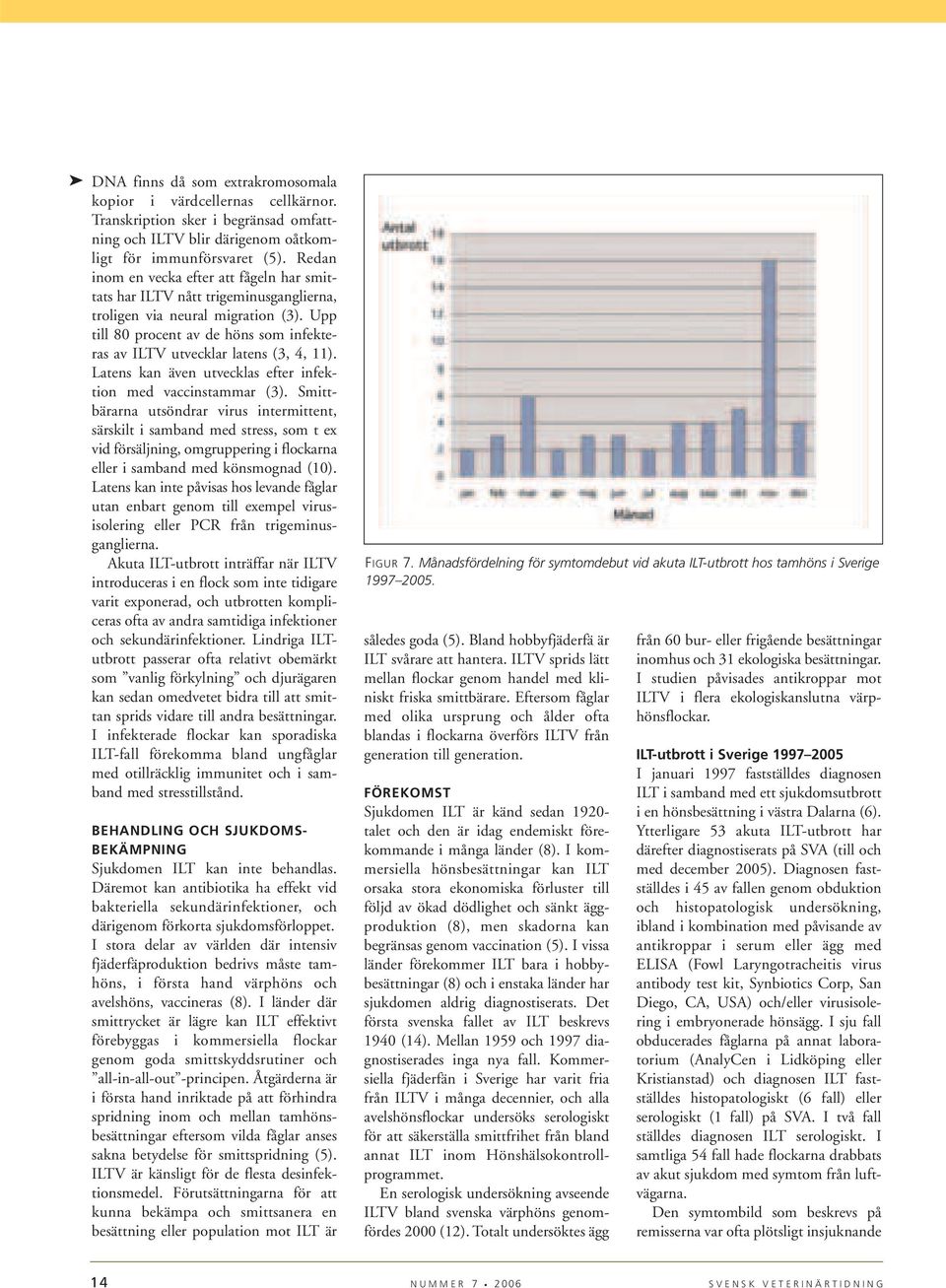 Upp till 80 procent av de höns som infekteras av ILTV utvecklar latens (3, 4, 11). Latens kan även utvecklas efter infektion med vaccinstammar (3).