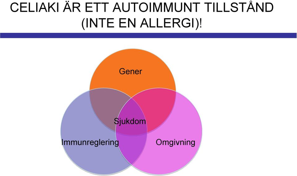 (INTE EN ALLERGI)!