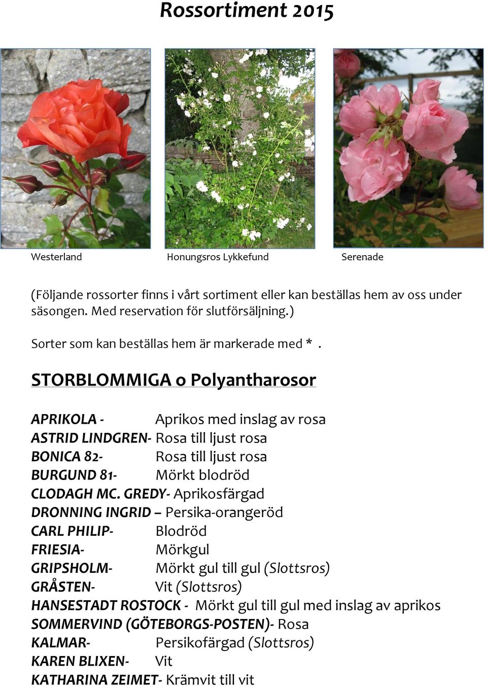 STORBLOMMIGA o Polyantharosor APRIKOLA - Aprikos med inslag av rosa ASTRID LINDGREN- Rosa till ljust rosa BONICA 82- Rosa till ljust rosa BURGUND 81- Mörkt blodröd CLODAGH MC.