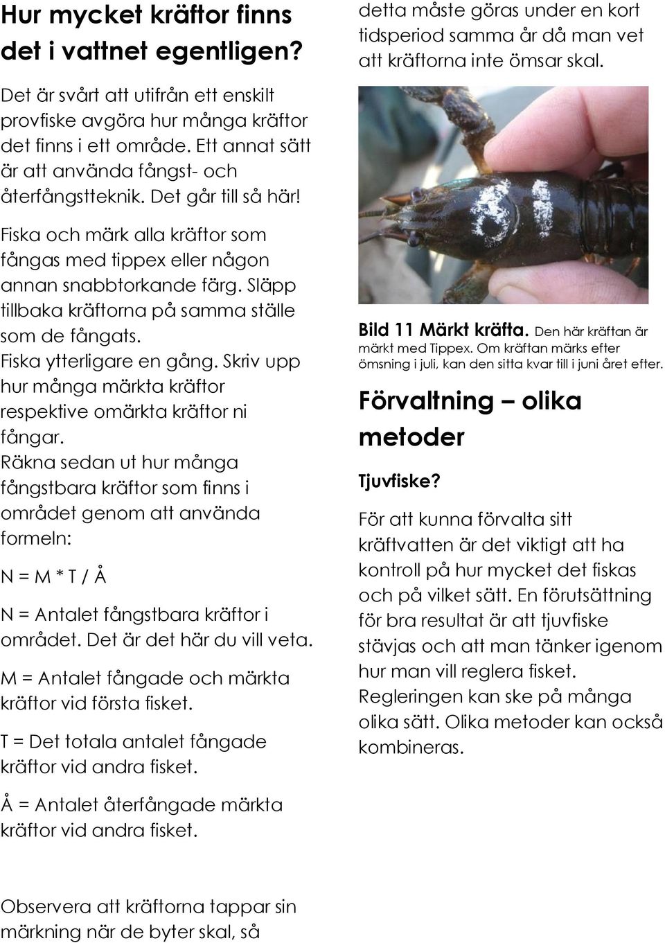 Fiska och märk alla kräftor som fångas med tippex eller någon annan snabbtorkande färg. Släpp tillbaka kräftorna på samma ställe som de fångats. Fiska ytterligare en gång.