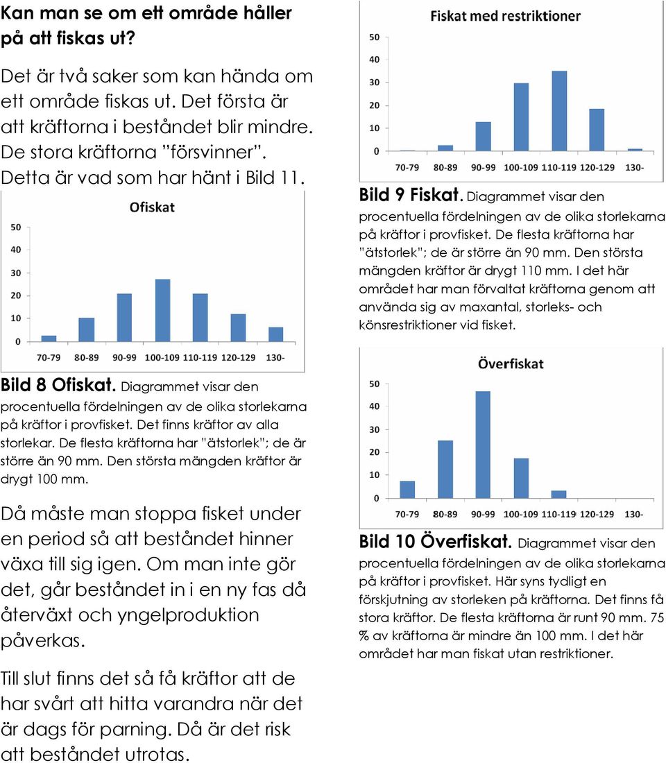 De flesta kräftorna har ätstorlek ; de är större än 90 mm. Den största mängden kräftor är drygt 110 mm.