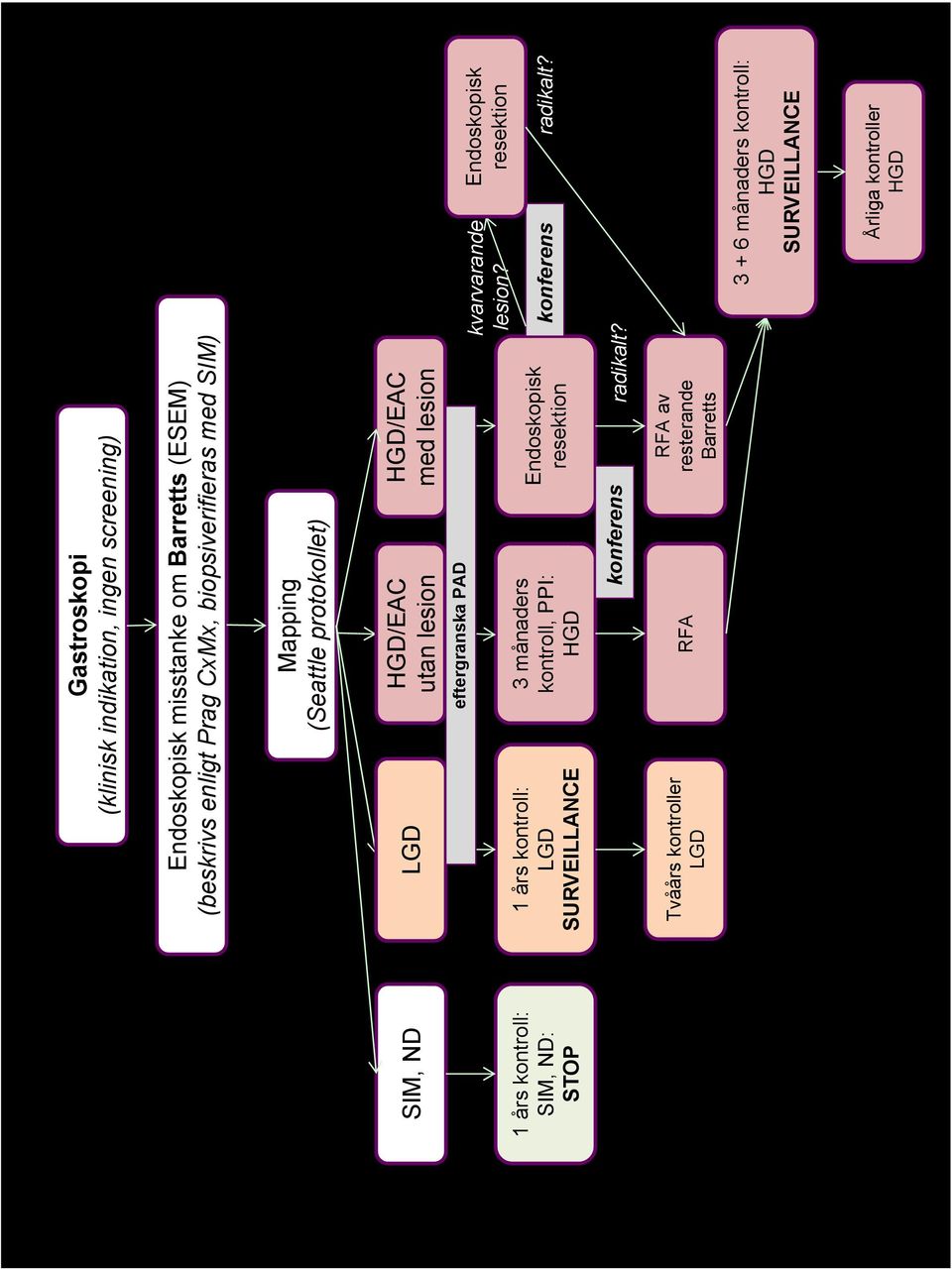 eftergranska PAD 3 månaders kontroll, PPI: HGD HGD/EAC med lesion Endoskopisk resektion kvarvarande lesion?