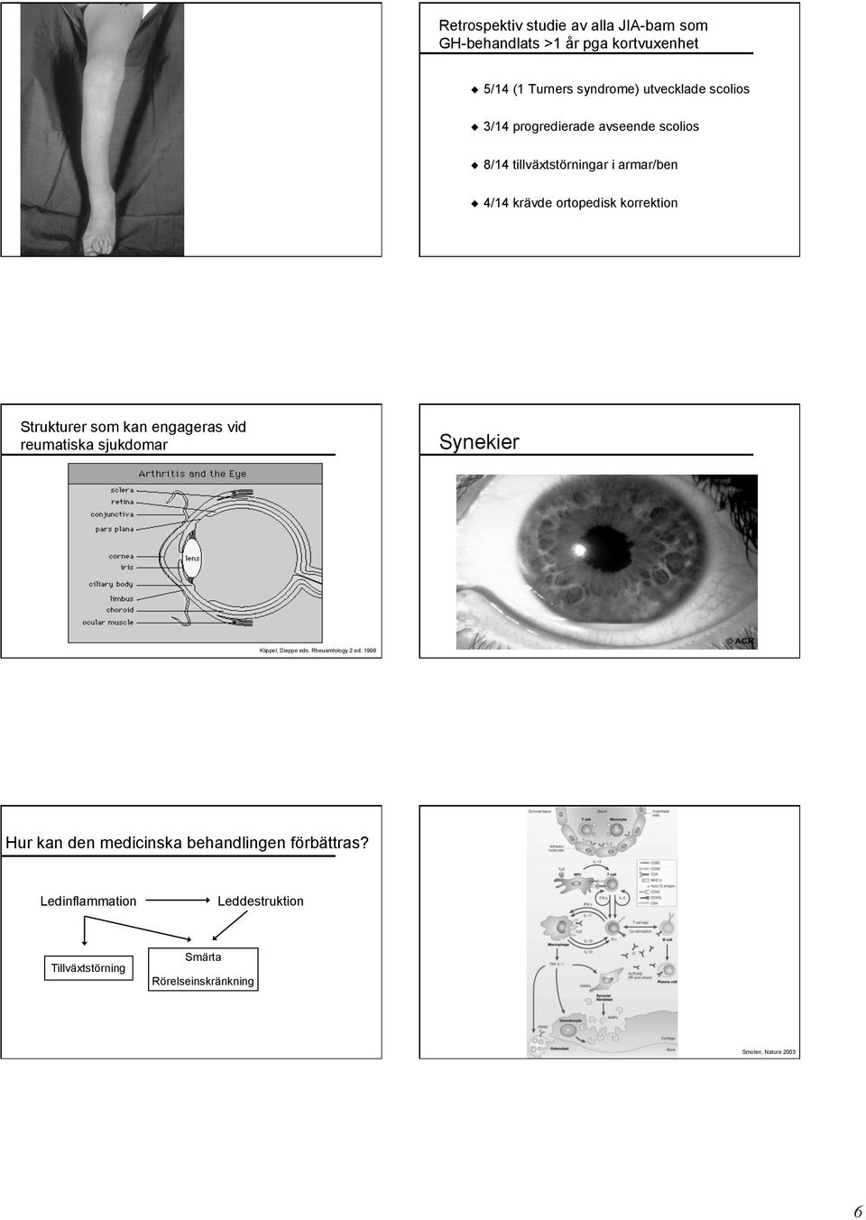 Strukturer som kan engageras vid reumatiska sjukdomar Synekier Klippel, Dieppe eds. Rheuamtology 2 ed.