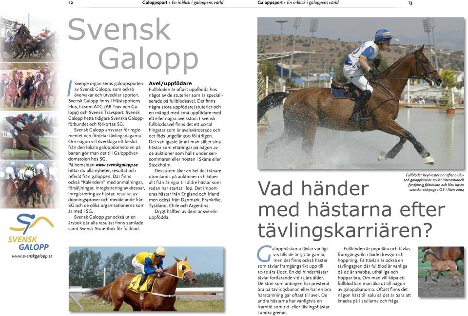 Svensk Galopp ansvarar för reglementet och fördelar tävlingsdagarna. Om någon vill överklaga ett beslut från den lokala galoppdomstolen på banan gör man det till Galoppöverdomstolen hos SG.