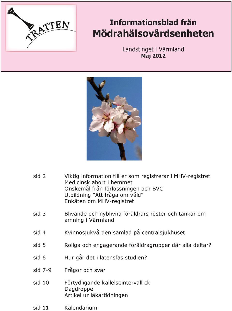 Blivande och nyblivna föräldrars röster och tankar om amning i Värmland Kvinnosjukvården samlad på centralsjukhuset Roliga och engagerande