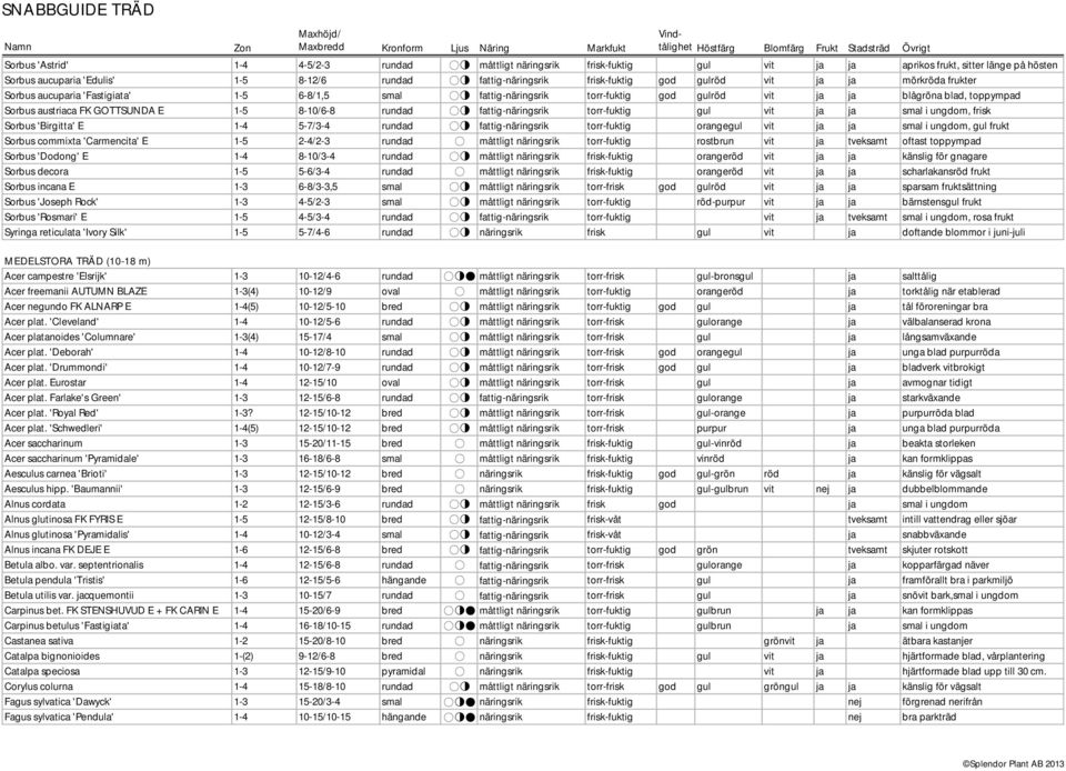 8-10/6-8 rundad fattig-näringsrik torr-fuktig gul vit ja ja smal i ungdom, frisk Sorbus 'Birgitta' E 1-4 5-7/3-4 rundad fattig-näringsrik torr-fuktig orangegul vit ja ja smal i ungdom, gul frukt