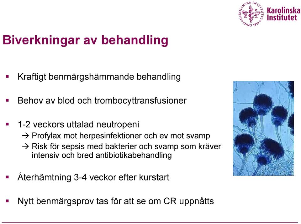 ev mot svamp Risk för sepsis med bakterier och svamp som kräver intensiv och bred