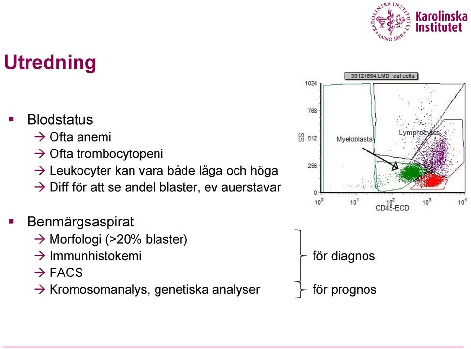 auerstavar Benmärgsaspirat Morfologi (>20% blaster)