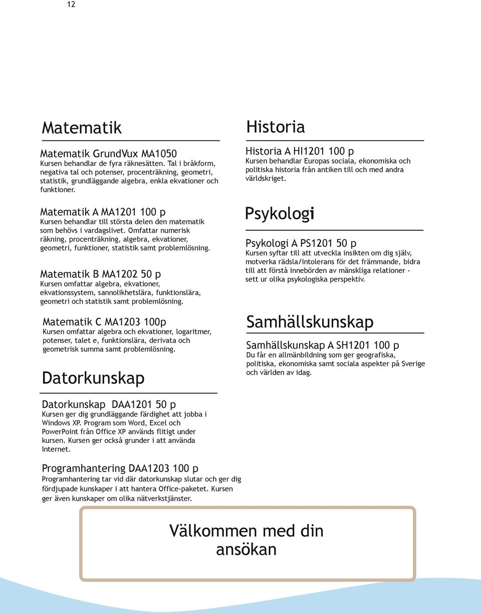 Kursen behandlar till största delen den matematik som behövs i vardagslivet. Omfattar numerisk räkning, procenträkning, algebra, ekvationer, geometri, funktioner, statistik samt problemlösning.