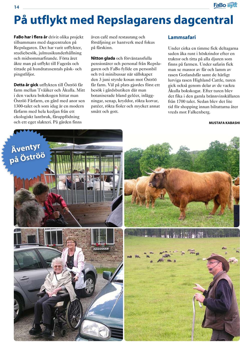 Detta år gick utflykten till Öströö får farm mellan Tvååker och Åkulla.