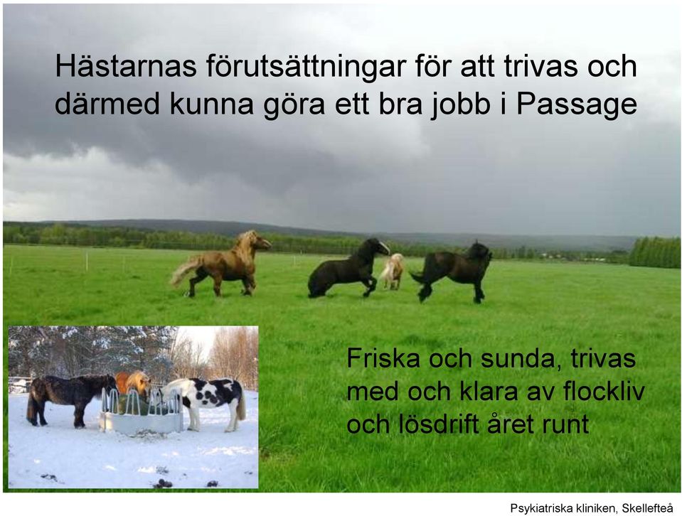 jobb i Passage Friska och sunda, trivas