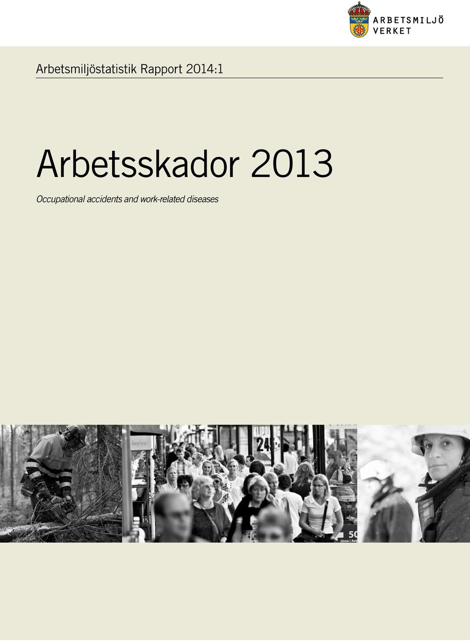 Arbetsskador 2013