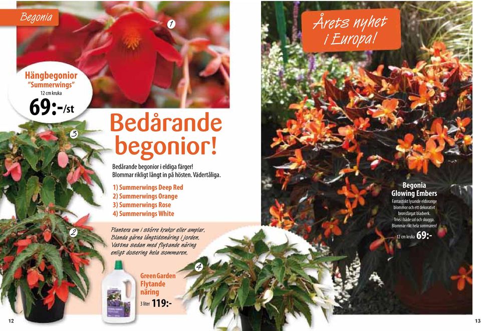 1) Summerwings Deep Red 2) Summerwings Orange 3) Summerwings Rose 4) Summerwings White Plantera om i större krukor eller amplar.