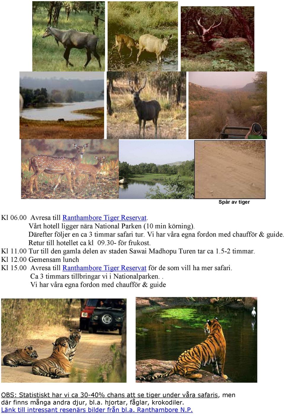 00 Gemensam lunch Kl 15.00 Avresa till Ranthambore Tiger Reservat för de som vill ha mer safari. Ca 3 timmars tillbringar vi i Nationalparken.