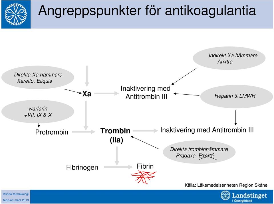 Antitrombin III Heparin & LMWH Protrombin Fibrinogen Trombin (IIa) Fibrin Inaktivering