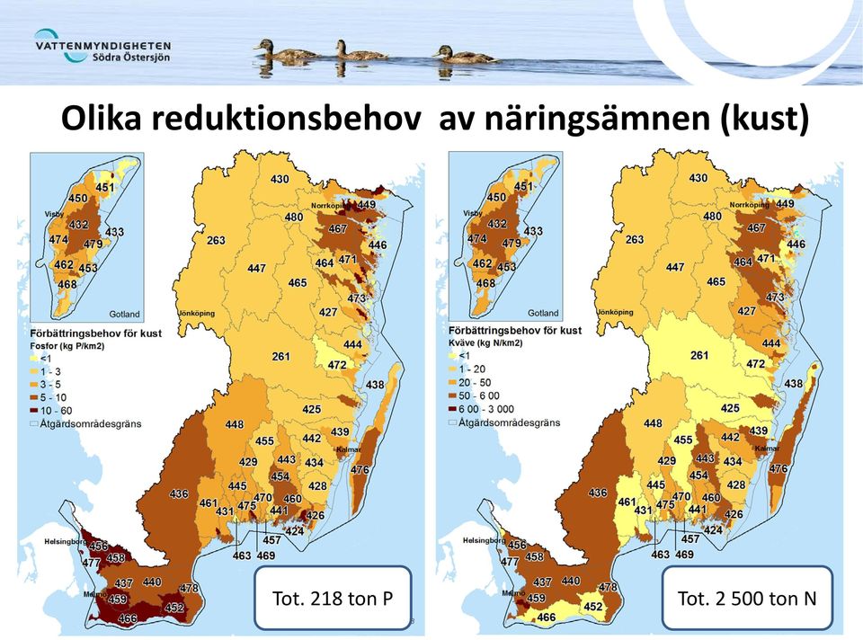 näringsämnen