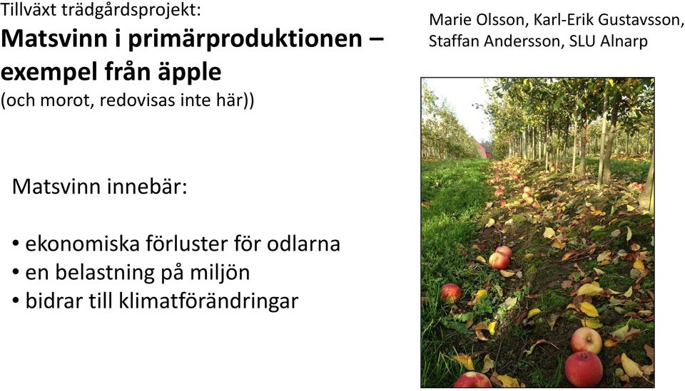 Gustavsson, Staffan Andersson, SLU Alnarp Matsvinn innebär: