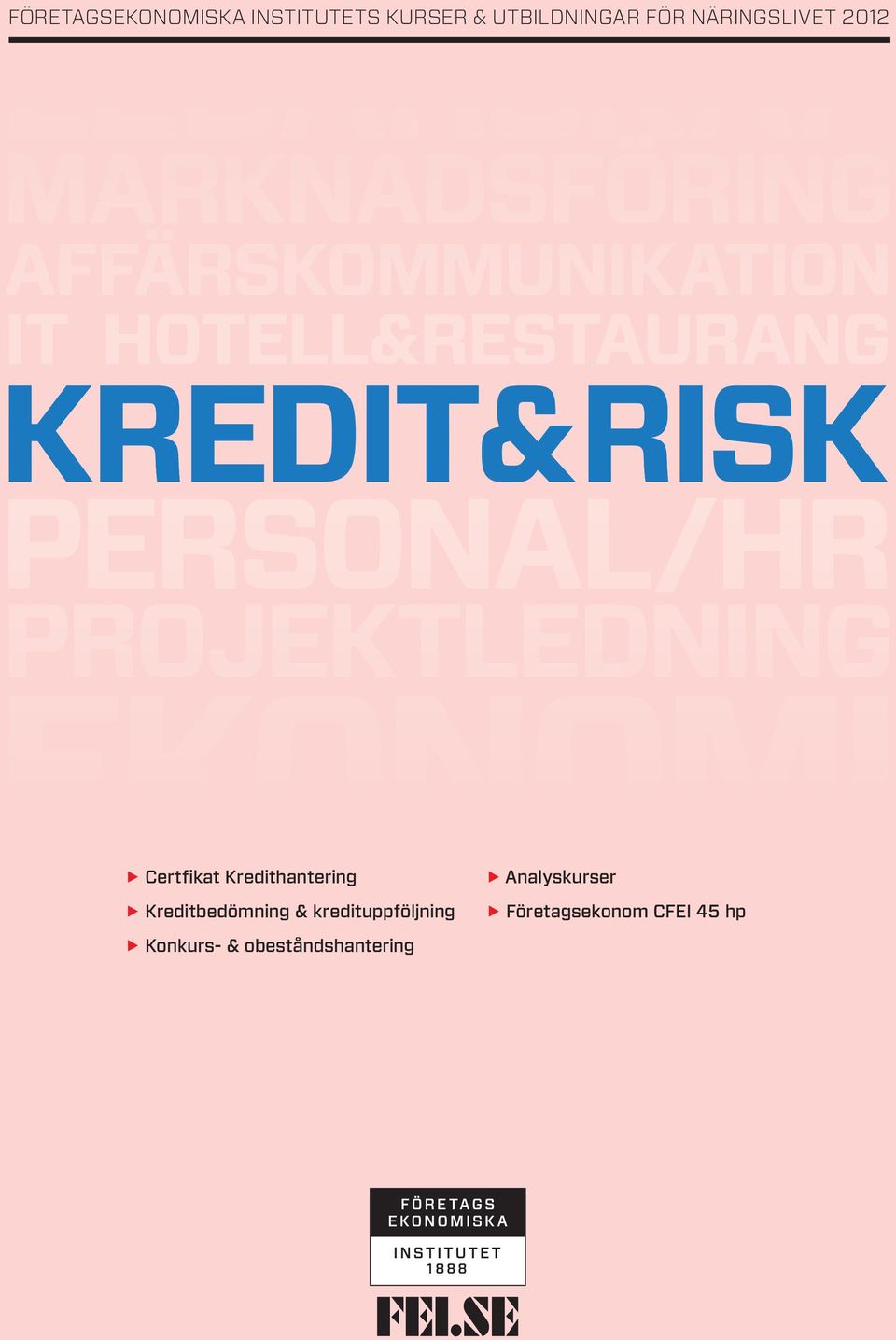 Kredithantering E Kreditbedömning & kredituppföljning E Analyskurser E Företagsekonom CFEI 45