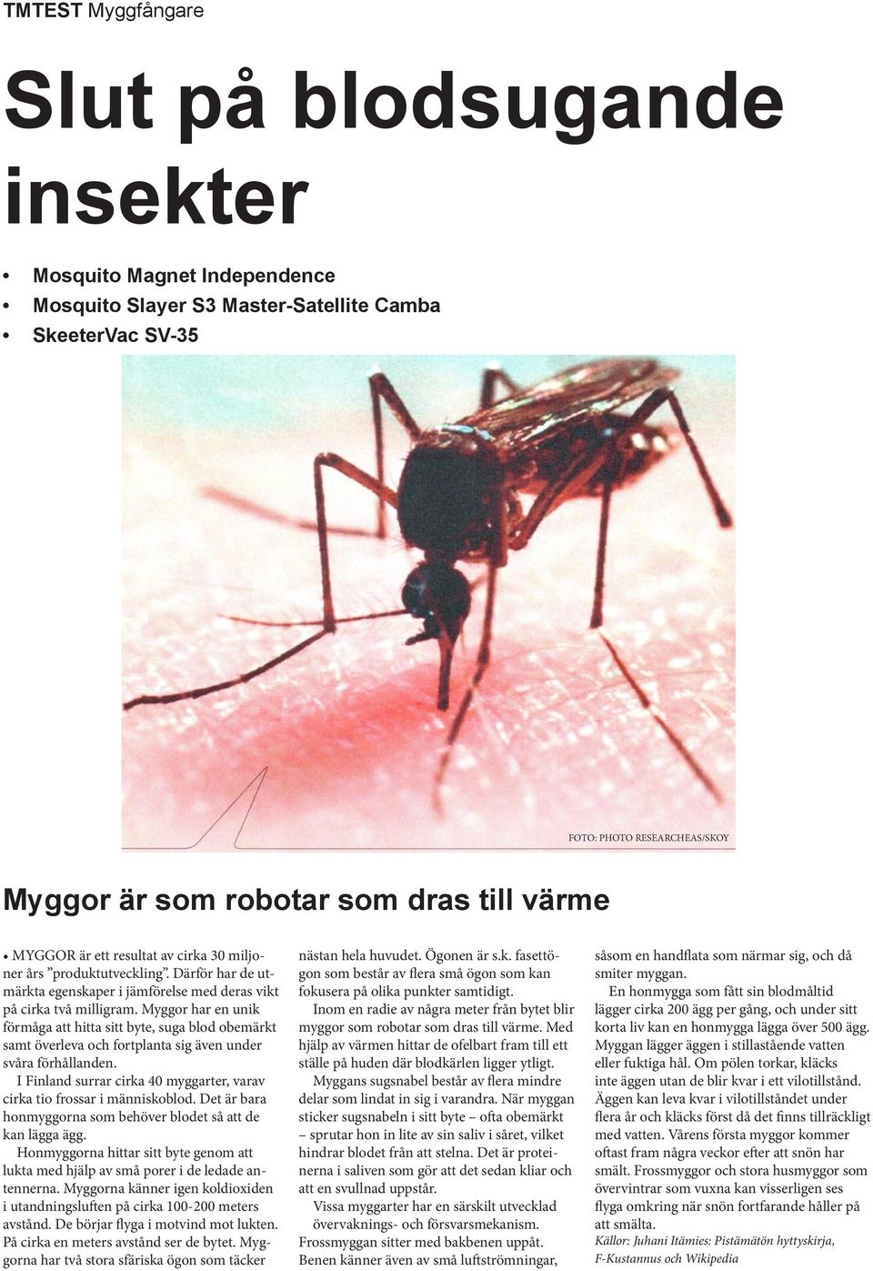 till värme Myggor är som robotar som dras till värme MYGGOR är ett resultat av cirka 30 miljoner års produktutveckling.