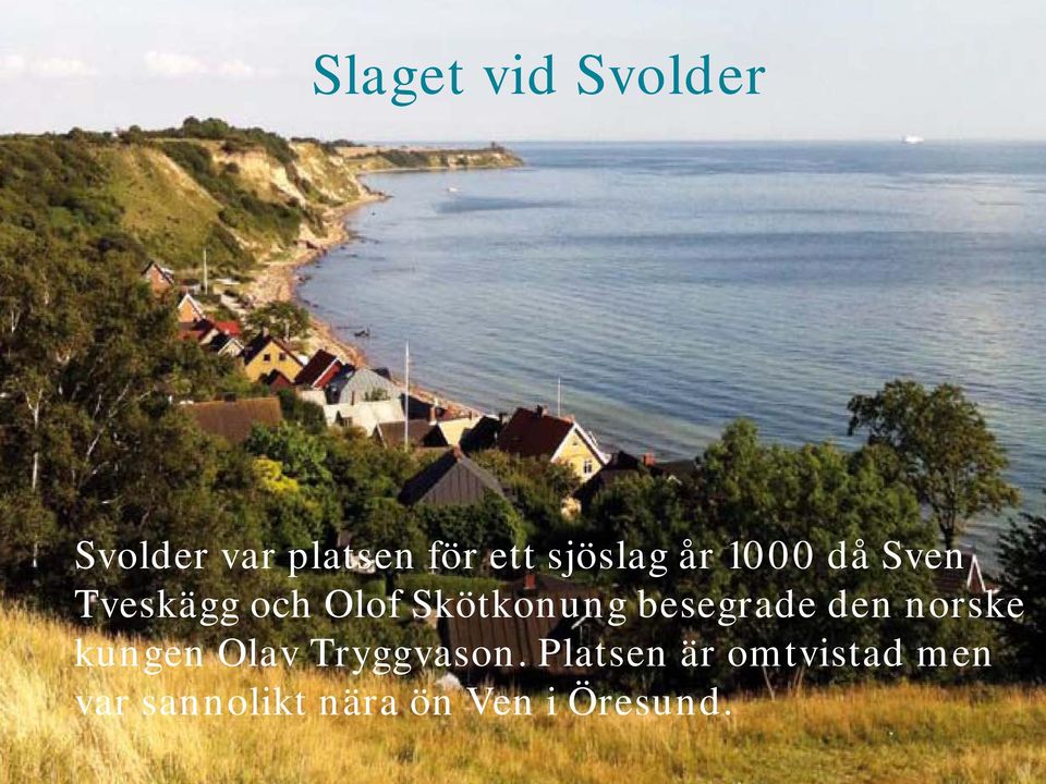 Skötkonung besegrade den norske kungen Olav