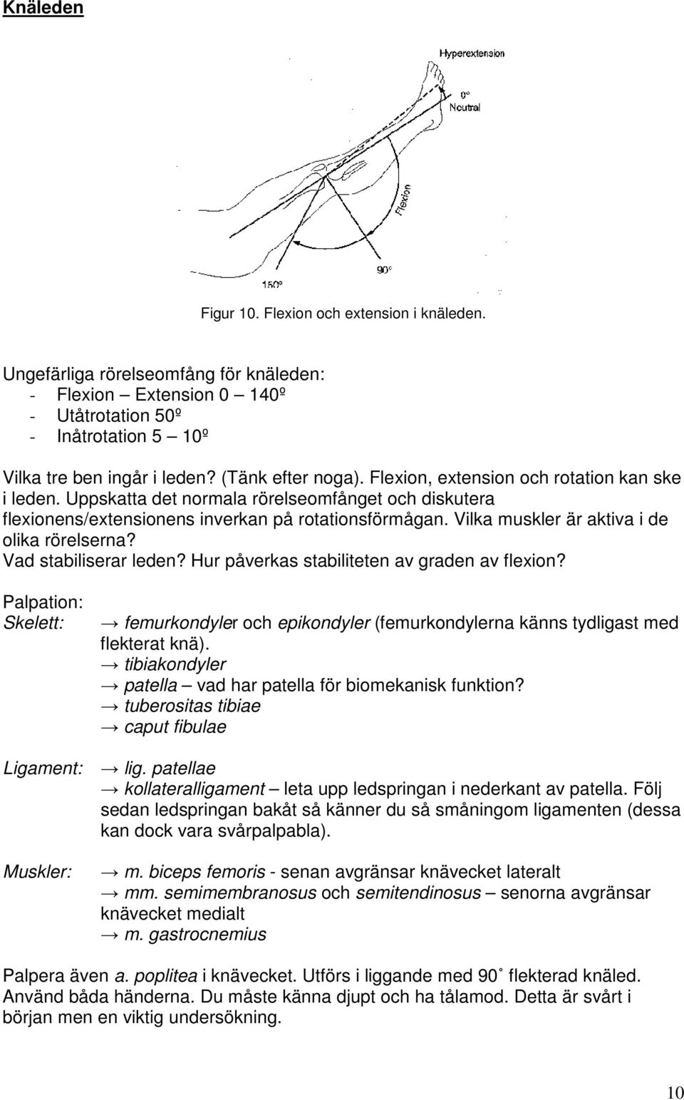 Vilka muskler är aktiva i de olika rörelserna? Vad stabiliserar leden? Hur påverkas stabiliteten av graden av flexion?