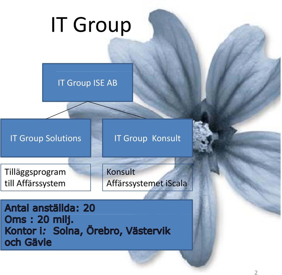 Konsult Tilläggsprogram till