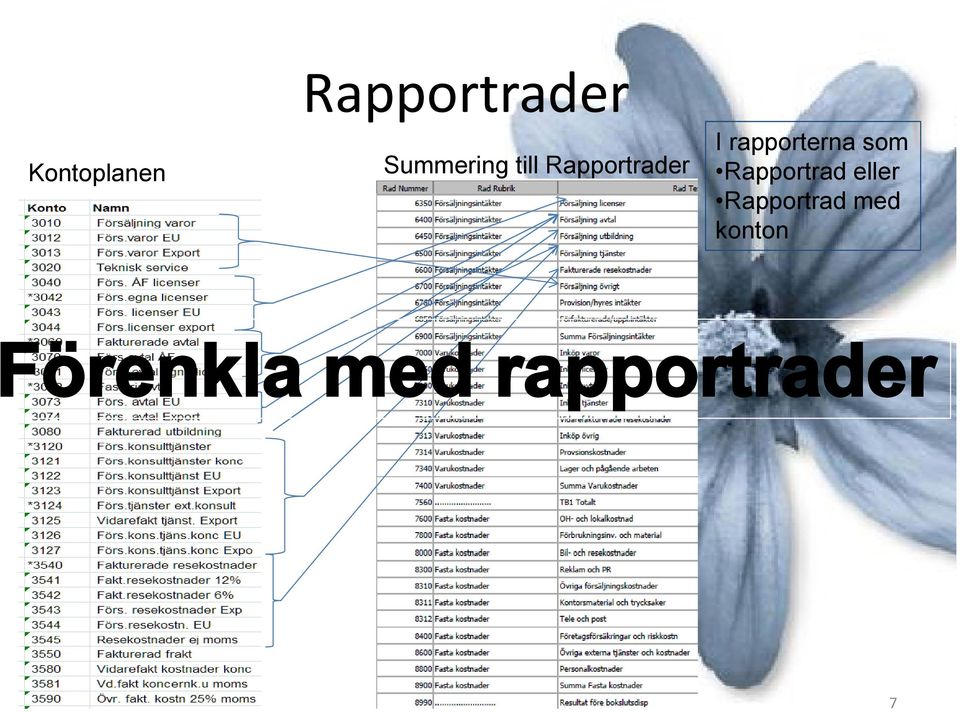 I rapporterna som