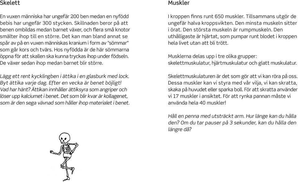 Det kan man bland annat se spår av på en vuxen människas kranium i form av sömmar som går kors och tvärs. Hos nyfödda är de här sömmarna öppna för att skallen ska kunna tryckas ihop under födseln.