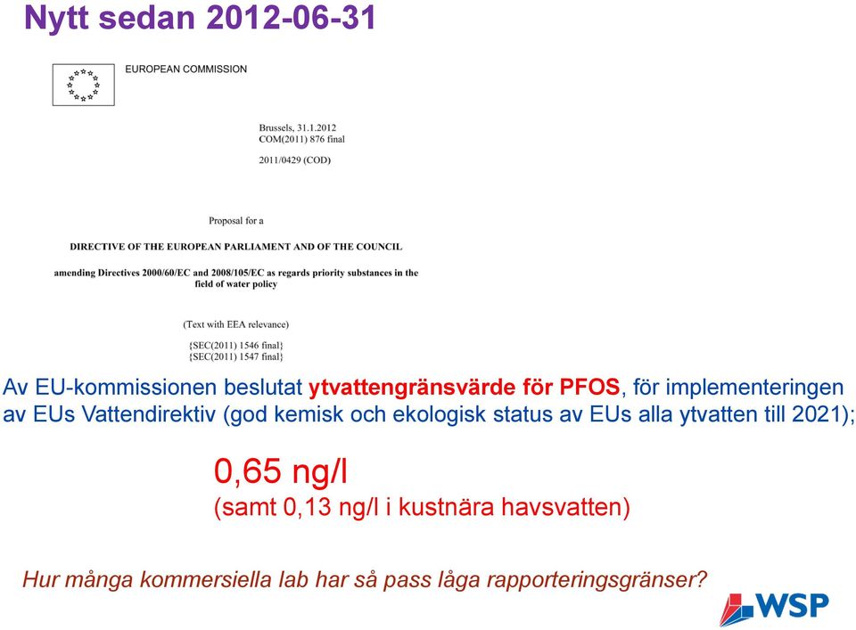 status av EUs alla ytvatten till 2021); 0,65 ng/l (samt 0,13 ng/l i