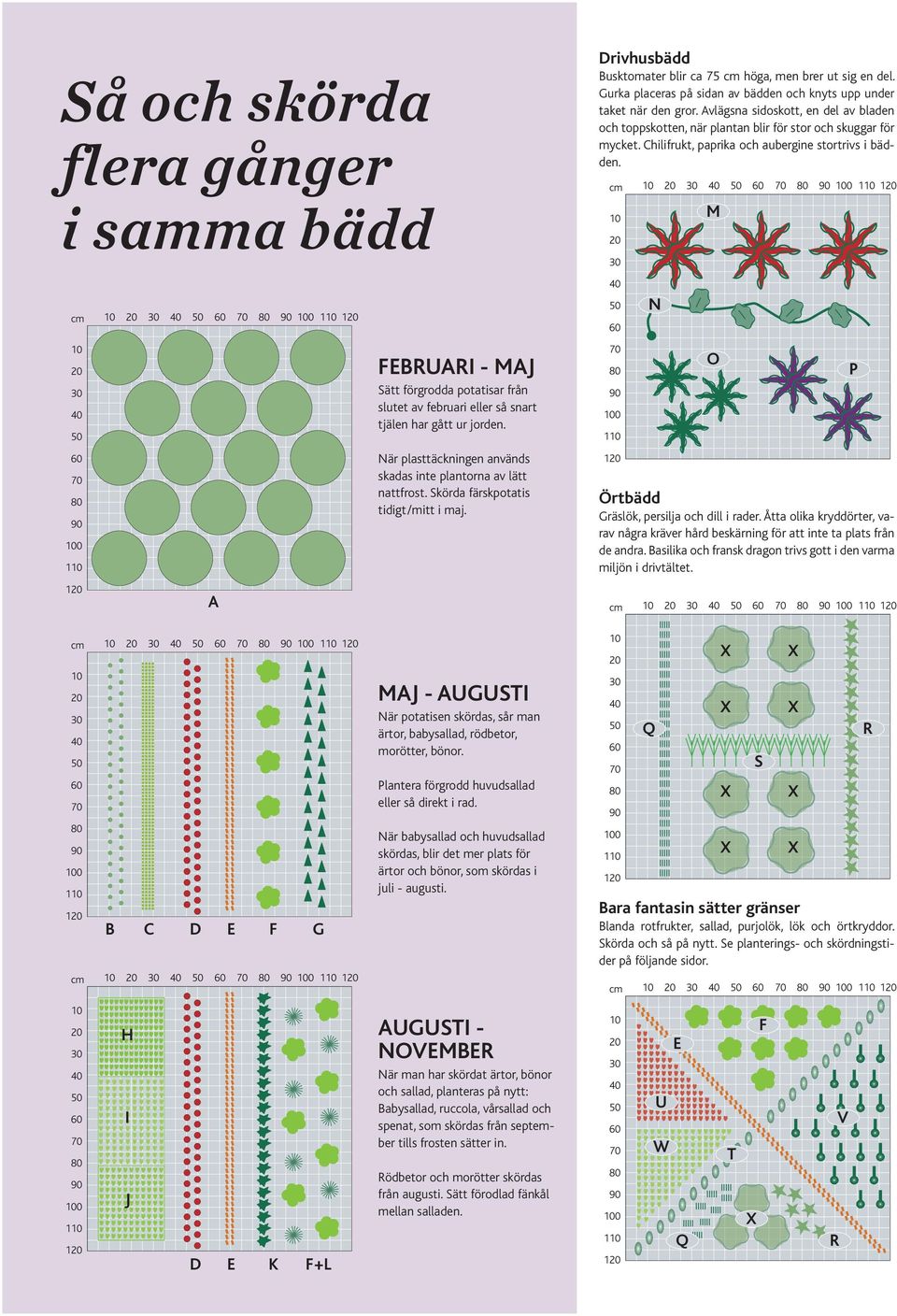 Drivhusbädd Busktomater blir ca 75 cm höga, men brer ut sig en del. Gurka placeras på sidan av bädden och knyts upp under taket när den gror.