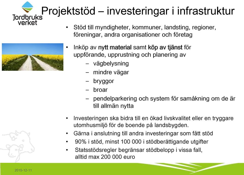 de är till allmän nytta Investeringen ska bidra till en ökad livskvalitet eller en tryggare utomhusmiljö för de boende på landsbygden.