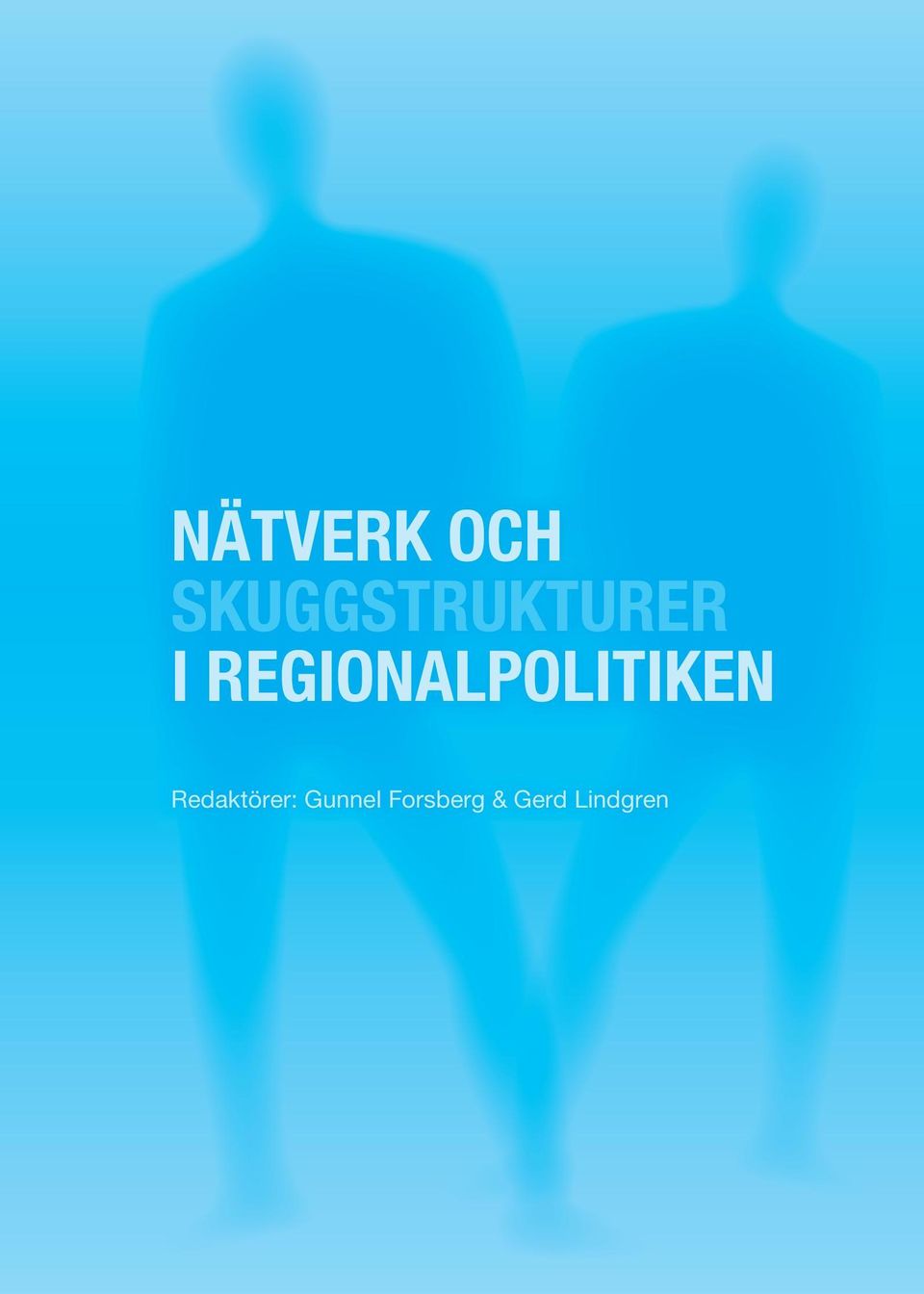 REGIONALPOLITIKEN